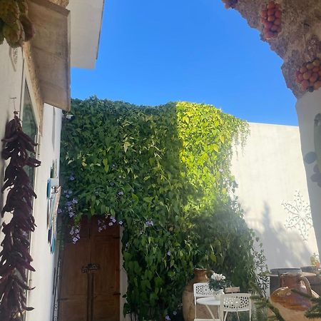 Gemini  Corte Largo Lauro Dimore & Spa المظهر الخارجي الصورة